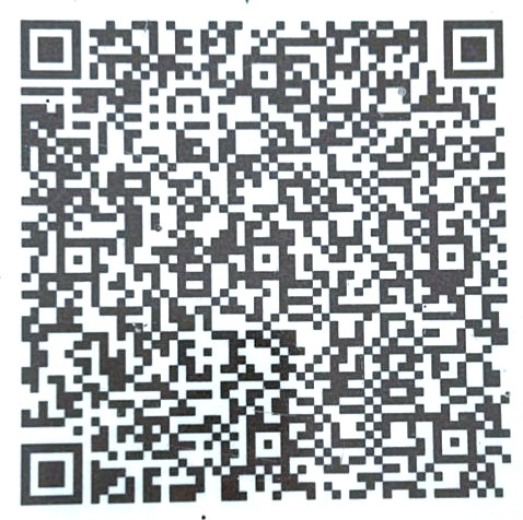 UPI QR Code